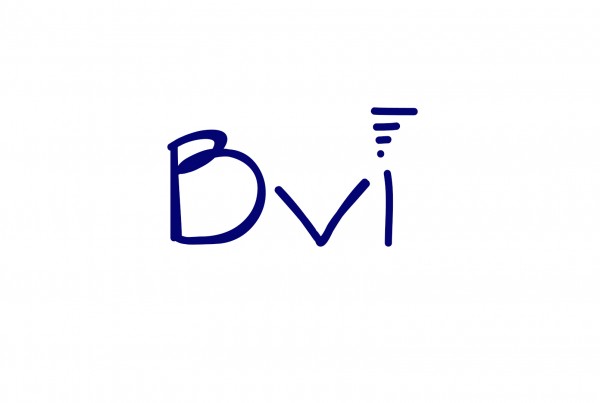 Broad View Imaging Logo